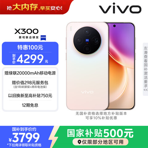 vivo X300