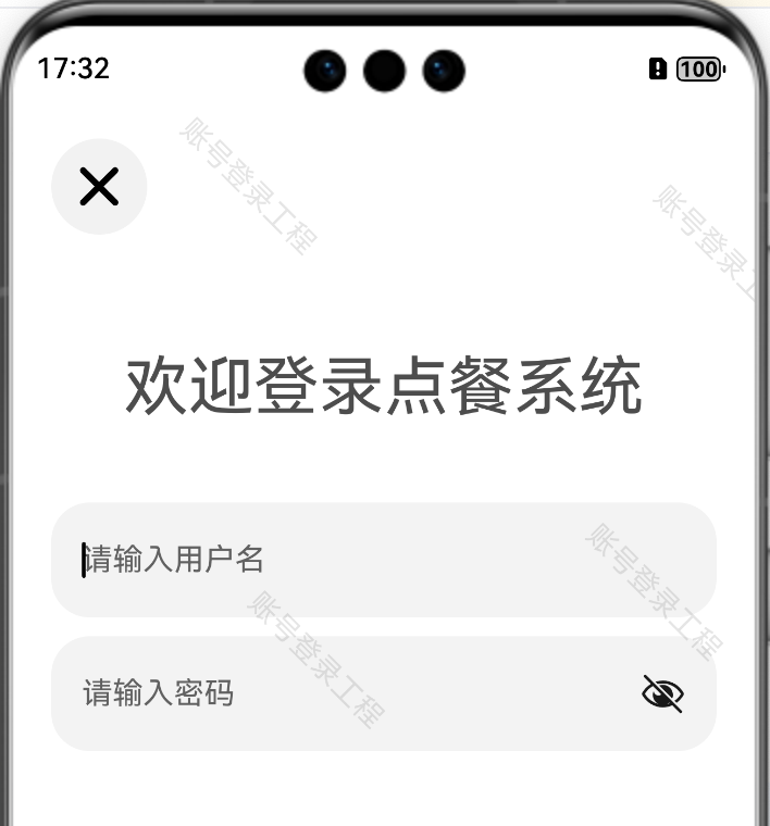 登录页输入框效果占位